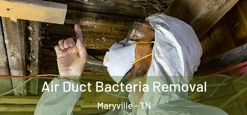  Air Duct Bacteria Removal Maryville - TN