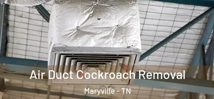 Air Duct Cockroach Removal Maryville - TN