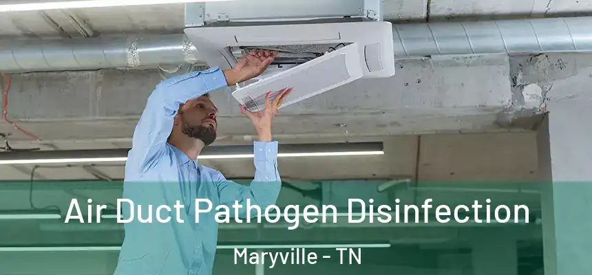 Air Duct Pathogen Disinfection Maryville - TN