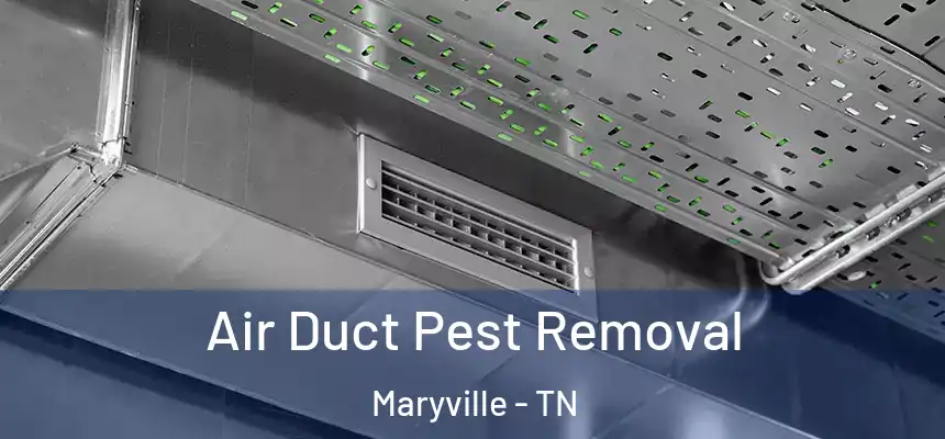 Air Duct Pest Removal Maryville - TN