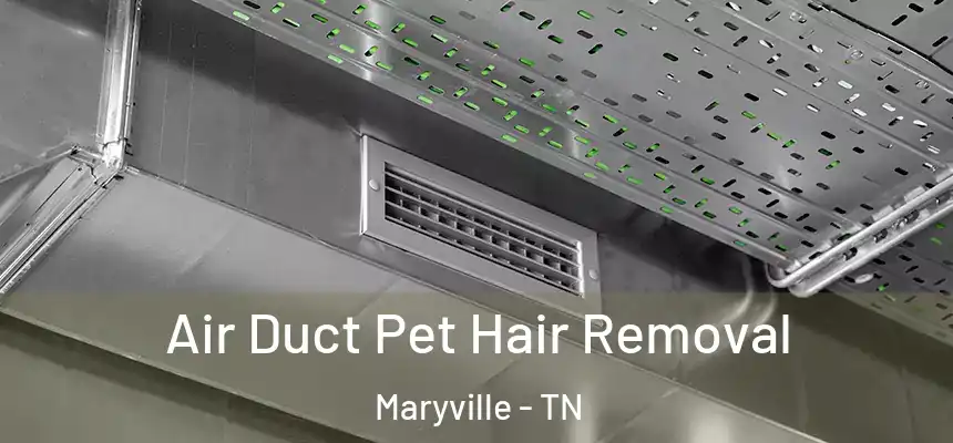  Air Duct Pet Hair Removal Maryville - TN