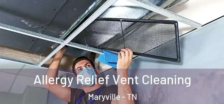  Allergy Relief Vent Cleaning Maryville - TN