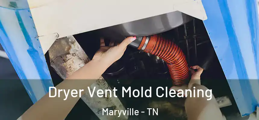  Dryer Vent Mold Cleaning Maryville - TN