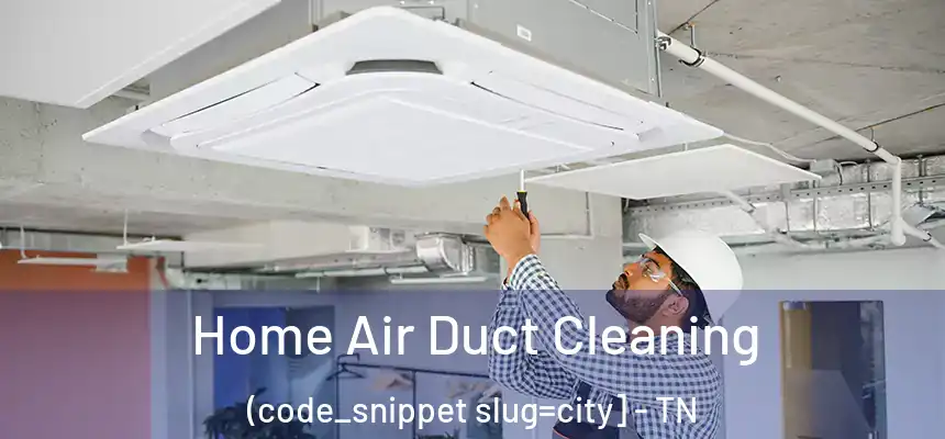  Home Air Duct Cleaning (code_snippet slug=city] - TN