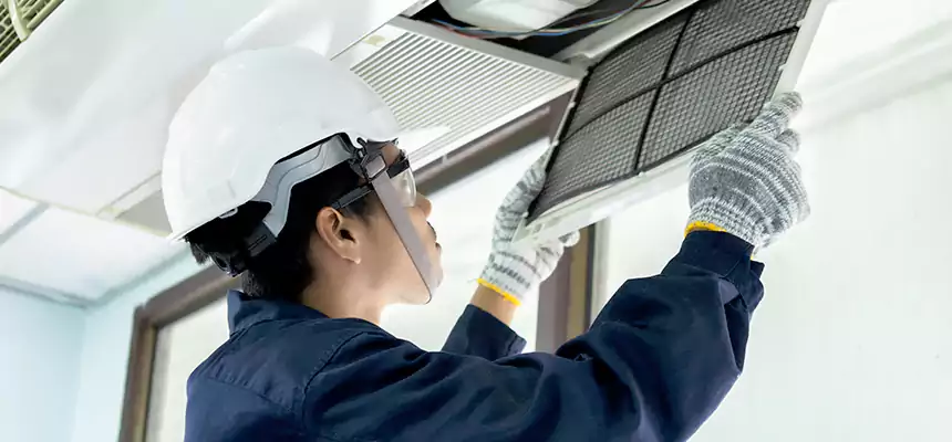 Our Mold & Mildew Removal from Air Ducts Services in Maryville, TN