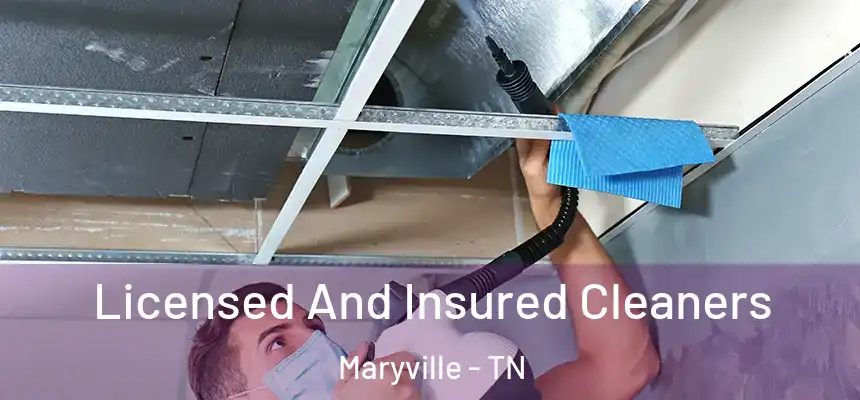 Licensed And Insured Cleaners Maryville - TN