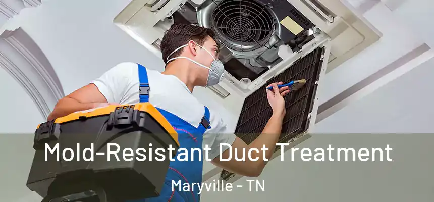  Mold-Resistant Duct Treatment Maryville - TN