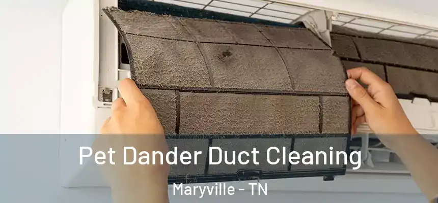  Pet Dander Duct Cleaning Maryville - TN