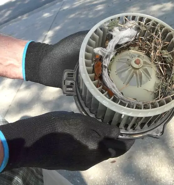 About Air Duct Rat Removal in Maryville, TN