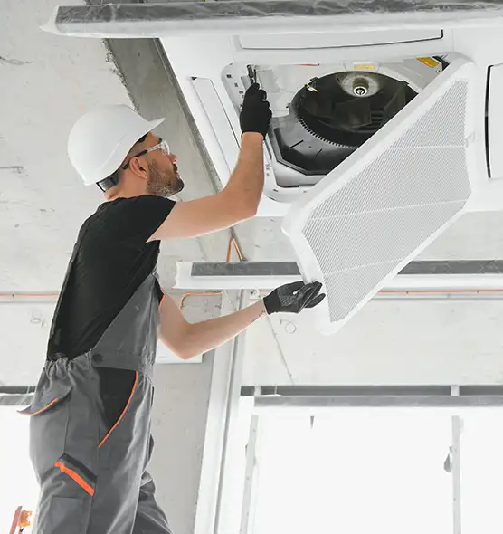 About Air Duct Rodent Removal in Maryville, TN