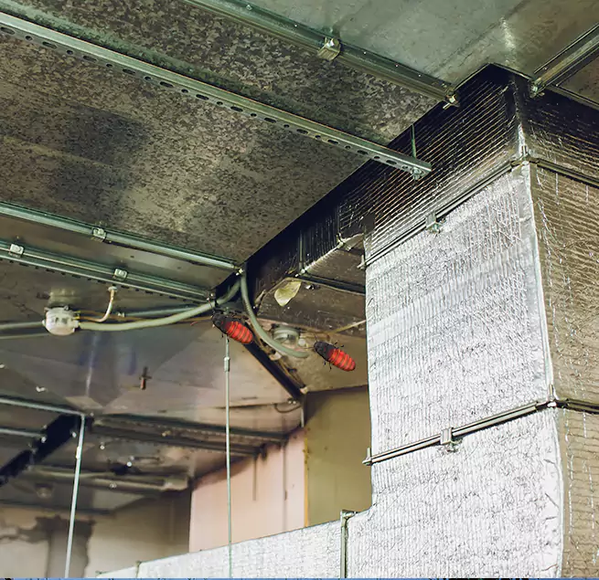 Why Homeowners & Businesses Trust Us in Maryville, TN?