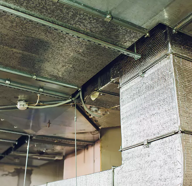 Why Homeowners & Businesses Trust Us in Maryville, TN?